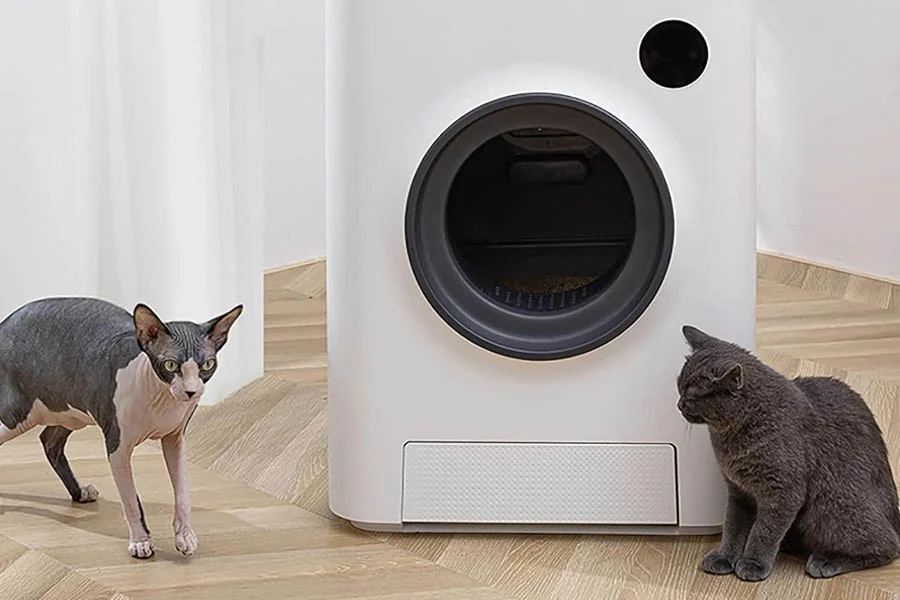 scent free litter box